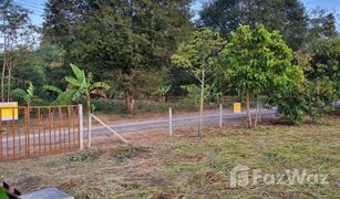 N/A Grundstück zu verkaufen in Pong Ta Long, Nakhon Ratchasima 