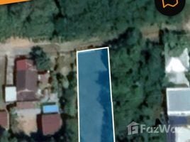  Terreno (Parcela) en venta en Tailandia, Chakkarat, Chakkarat, Nakhon Ratchasima, Tailandia