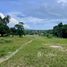  Land for sale in Bang Po Beach, Maenam, Maenam