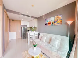 อพาร์ทเม้นท์ 1 ห้องนอน ให้เช่า ในโครงการ เดอะ ริเวียร่า จอมเทียน, เมืองพัทยา, พัทยา, ชลบุรี