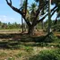  Terreno (Parcela) en venta en Ragay, Bicol, Ragay, Camarines Sur