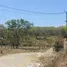 Grundstück zu verkaufen in Hojancha, Guanacaste, Hojancha