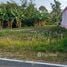  Grundstück zu verkaufen in Thalang, Phuket, Thep Krasattri, Thalang, Phuket