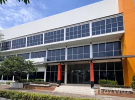 ขายคลังสินค้า ใน อ้อมใหญ่, นครปฐม, อ้อมใหญ่, สามพราน, นครปฐม, ไทย