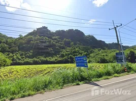 在呵叻府出售的 土地, Phaya Yen, 北冲县, 呵叻府