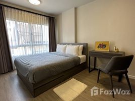 1 Bedroom Condo for rent at D Condo Sign, Fa Ham, Mueang Chiang Mai