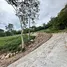  Land for sale in Maenam, Surat Thani, Maenam, Koh Samui