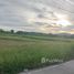  Земельный участок for sale in Huai Pong, Районг, Huai Pong