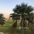 5 غرفة نوم فيلا للبيع في Palm Hills Golf Views, Cairo Alexandria Desert Road, مدينة 6 أكتوبر