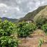  Terrain for sale in Loja, Purunuma Eguiguren, Gonzanama, Loja