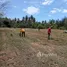  Terrain for sale in Phangnga, Bang Muang, Takua Pa, Phangnga