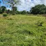  Terreno (Parcela) en venta en Puerto Plata, San Felipe De Puerto Plata