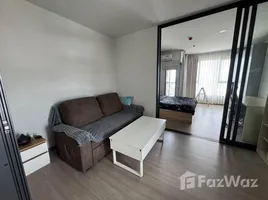 1 Habitación Apartamento en alquiler en Aspire Sukhumvit-Rama 4, Phra Khanong, Khlong Toei, Bangkok