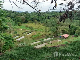  Grundstück zu verkaufen in Sarapiqui, Heredia, Sarapiqui, Heredia, Costa Rica