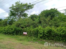  Terreno (Parcela) en venta en Costa Rica, Nicoya, Guanacaste, Costa Rica