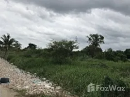  Land for sale in Bangkok, Khlong Song Ton Nun, Lat Krabang, Bangkok