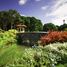 在Ayala Westgrove Heights出售的 土地, Silang, Cavite