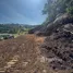  Land for sale in Bo Phut, Surat Thani, Bo Phut