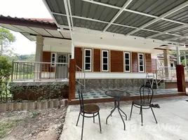 บ้านเดี่ยว 2 ห้องนอน ให้เช่า ในทำเล สาคู, ภูเก็ต, สาคู, ถลาง, ภูเก็ต, ไทย