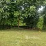  Land for sale in Chiang Mai, Wiang, Phrao, Chiang Mai