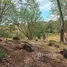 Land for sale in Guanacaste, Bagaces, Guanacaste