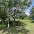  Земельный участок for sale in Sam Roi Yot, Хуа Хин, Sam Roi Yot, Сам Рои Yoт