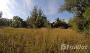 N/A Land for sale in Ko Phra Thong, Phangnga 