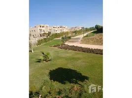 4 Bedroom Townhouse for sale at Palm Hills Kattameya, El Katameya