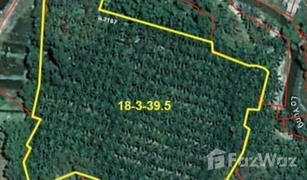 N/A Land for sale in Bang Muang, Phangnga 