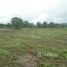 N/A Land for sale in Pa O Don Chai, Chiang Rai 5 Rai Land For Sale In Chiang Rai