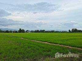  Land for sale in Buak Khang, San Kamphaeng, Buak Khang