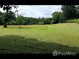 ขายที่ดิน ใน โคกกลอย, พังงา, โคกกลอย, ตะกั่วทุ่ง, พังงา, ไทย