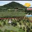  Земельный участок for sale in Thang Kwian, Районг, Thang Kwian