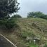 在Guanacaste出售的 土地, Santa Cruz, Guanacaste