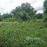  Land for sale in Rayong, Ban Khai, Ban Khai, Rayong