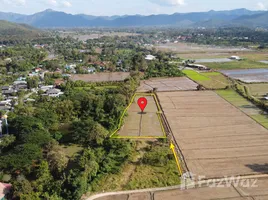  Terrain for sale in Chiang Mai, Rong Wua Daeng, San Kamphaeng, Chiang Mai