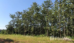 N/A Land for sale in Pha Sing, Nan 