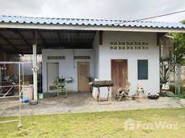 佛统 Kamphaeng Saen House with Buildings for Sale on Malai Man Road 3 卧室 屋 售 