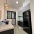 Penthouse 1 chambre à louer à Bukit Baru, Bukit Baru, Melaka Tengah Central Malacca, Melaka, Malaisie