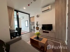 1 Bedroom Apartment for rent at Modiz Sukhumvit 50, Phra Khanong
