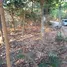 ขายที่ดิน ใน บ้านซ่อง, ฉะเชิงเทรา, บ้านซ่อง, พนมสารคาม, ฉะเชิงเทรา, ไทย