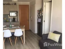 2 Habitación Apartamento en venta en La Florida, Pirque, Cordillera