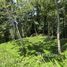  Land for sale at Uvita, Osa