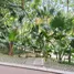 ขายที่ดิน ใน บ้านไร่, ชัยภูมิ, บ้านไร่, เทพสถิต, ชัยภูมิ, ไทย