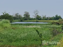 タイ で売却中 土地区画, Tha Sut, ミューアン・チアン・ライ, チェンライ, タイ