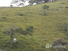 在Cartago出售的 土地, Turrialba, Cartago