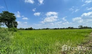 N/A Land for sale in Nong Khaem, Saraburi 