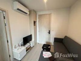 คอนโด 1 ห้องนอน ให้เช่า ในโครงการ นิว โนเบิล รัชดา - ลาดพร้าว, จันทรเกษม