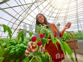 1 спален Кондо на продажу в The Sustainable City - Yas Island, Yas Acres, Yas Island