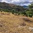  Grundstück zu verkaufen in Loja, Loja, Vilcabamba Victoria, Loja